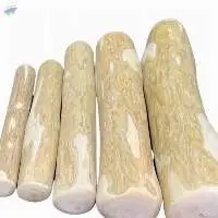 Pet Toy Dog Chewing Toy From Coffee Wood