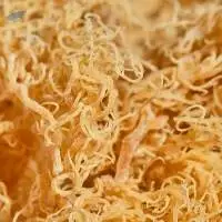 Irish Sea Moss Eucheuma Cottonii