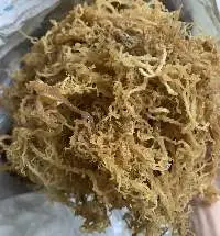 Eucheuma Cottonii Dried Sea Moss from Vietnam