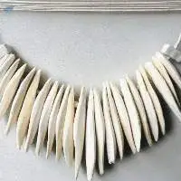 Cuttlefish Bone for Bird