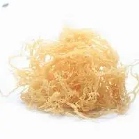 Wild-Crafted Irish Sea Moss