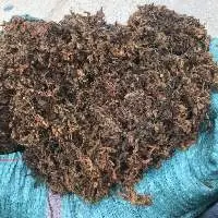 Dried sargassum seaweedanimal feed 