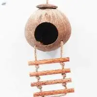 Bird House Made By Coconut Shell