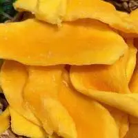 Vietnam Dried Soft Mango/ Dried Fruit
