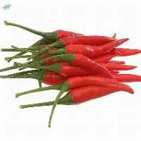 Fresh Red Chili  