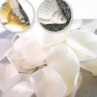 Dried Fish Scales/ 100% Tilapia Scales