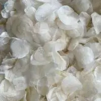 Tilapia Fish Scales - Collagen Fish Scales