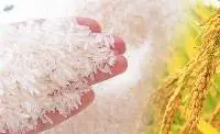 Ponni Rice / Royal Bullet - Steam Rice