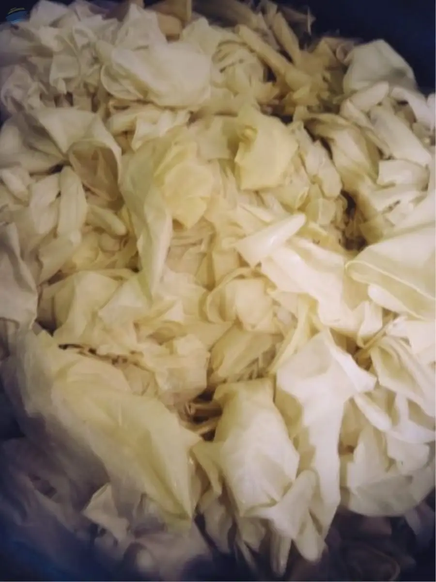 Latex Rubber Gloves Scrap by GM International. Supplier from India