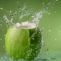 Premium Tender Coconut Beverage