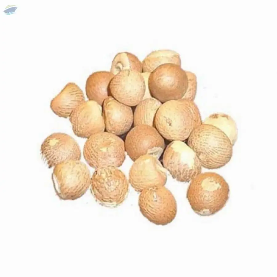 Areca Nuts