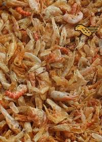 Dried Shrimps