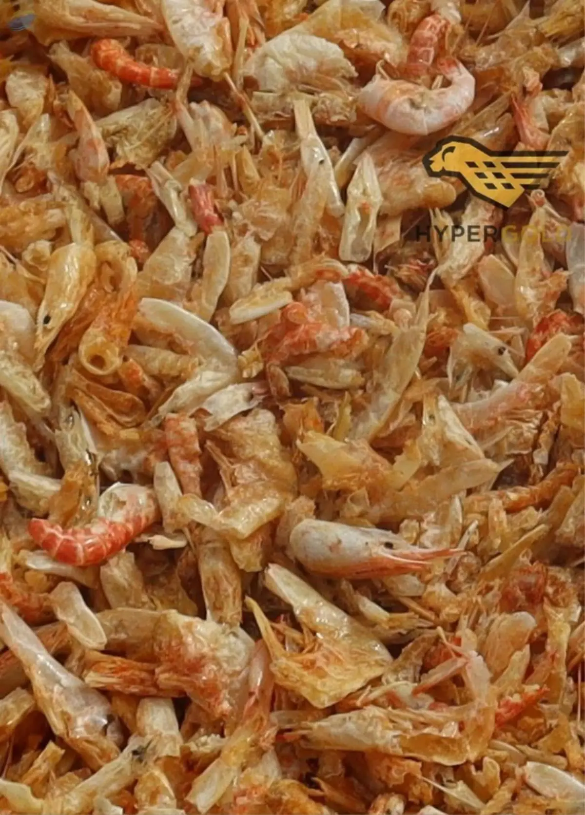 Dried Shrimps