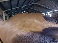 Palm Kernel Expeller