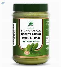 Dried Guava Leaves Powder