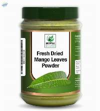 Dried Mango Leaves Powder