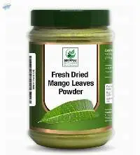 Dried Mango Leaves Powder