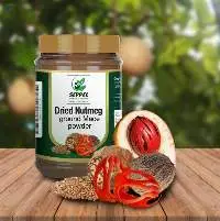 Ceylon Natural Nutmeg Without Shell Grade A