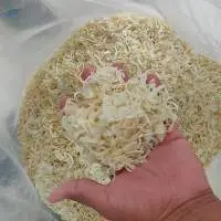 Dehydrated White Onion