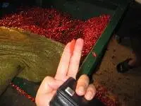 Frozen Red Chilli (Without stems)