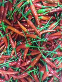 Fresh Red/Bird Eyes/Green Chilli (whole type)
