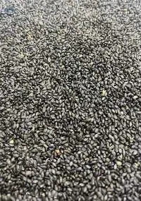 Basil Seeds