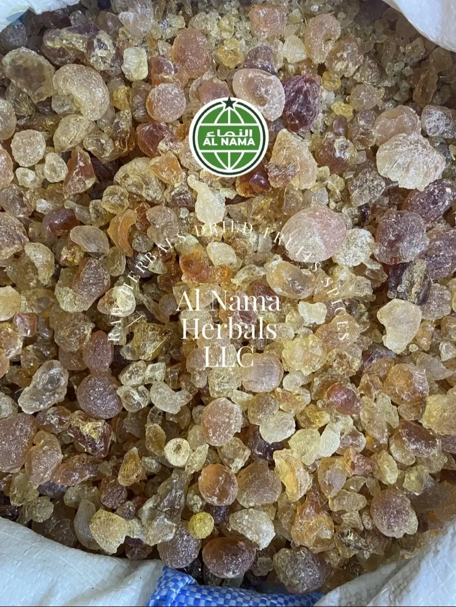 Gum Arabic (Acacia Arabica)