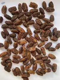 Dry Dates (Black)