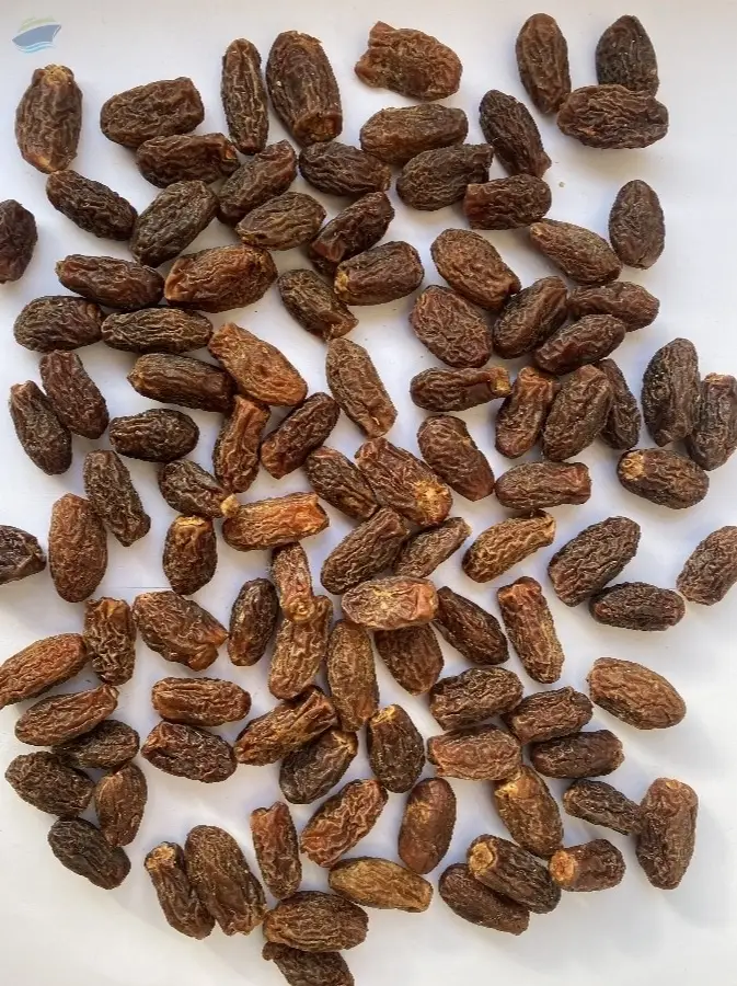 Dry Dates (Black)