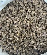 Cardamom Black