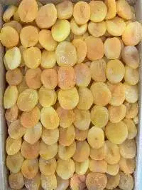 Dry Apricot (Turkish)