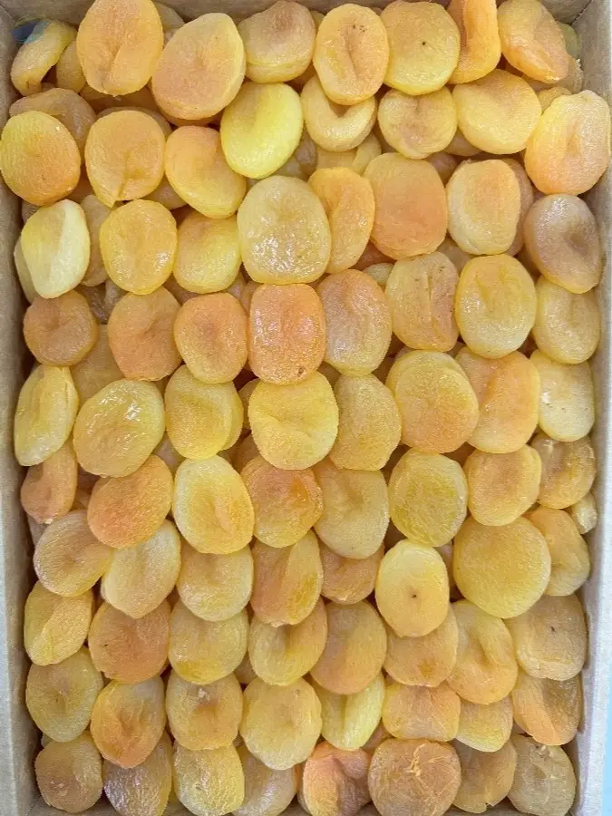 Dry Apricot (Turkish)