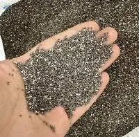 Chia Seeds