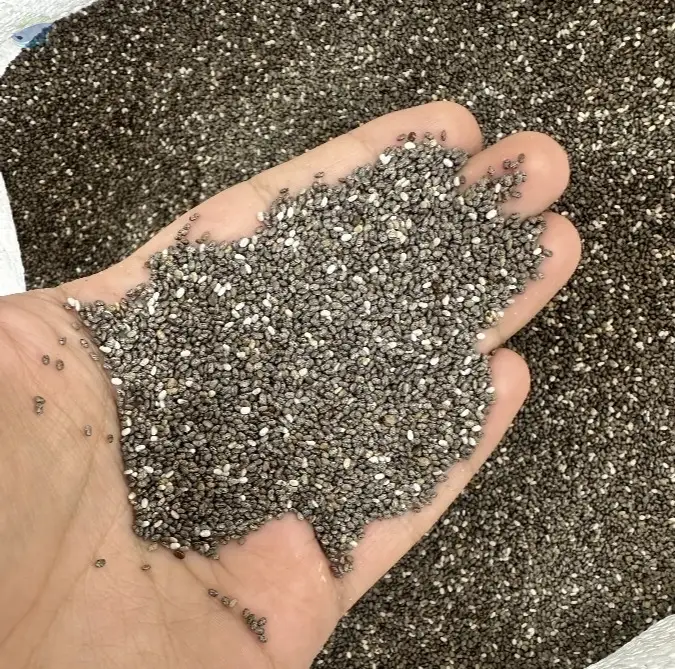 Chia Seeds