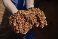 Coco Peat