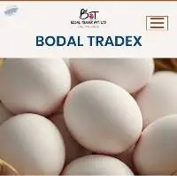Chicken Eggs