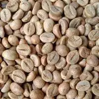 Robusta Green Coffee Beans