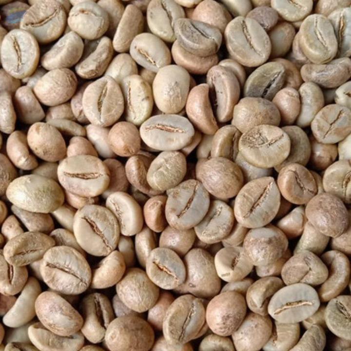 unroasted coffee bean suppliers