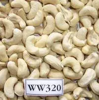 Cashew (Raw or processed - New crop 2025)
