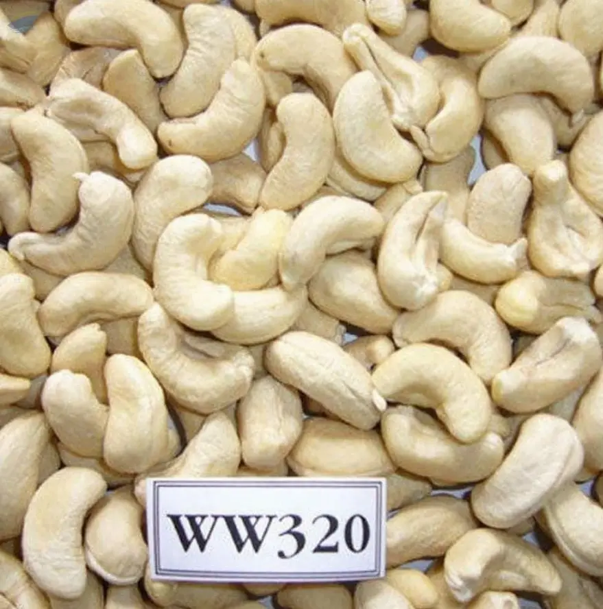 Cashew (Raw or processed - New crop 2025)