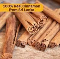 Ceylon Sri Lanka Cinnamon