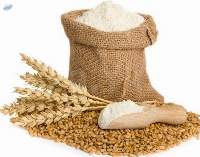 Wheat Flour