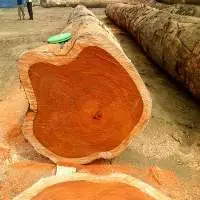 Azobe Or Ekki Wood Square And Round Logs