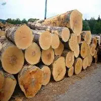 Azobe Logs/red Oak Logs/bobinga Logs