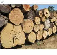 Azobe,ekki Lophira Alata) Square And Round Logs