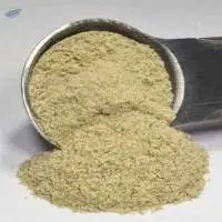 Ferrous Gluconate