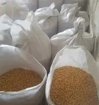High Quality White Corn