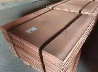 Copper Cathode / Copper Cathode Scrap