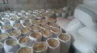 Pure White Corn /Maize / Yellow Corn