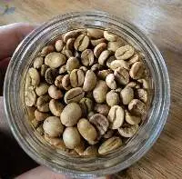 Green Bean Coffee